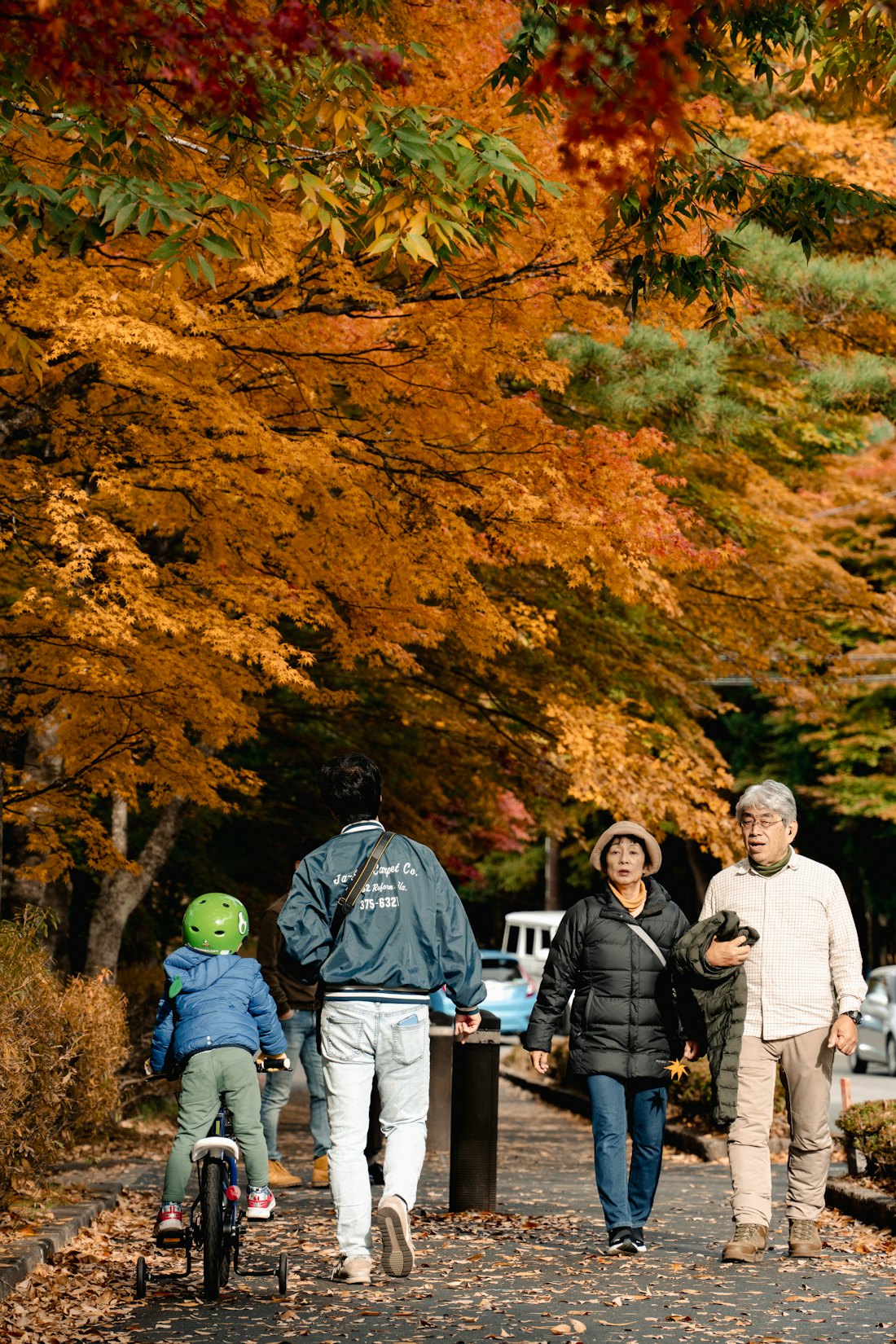 Mehrere Generationen spazieren im Herbst – Symbolbild